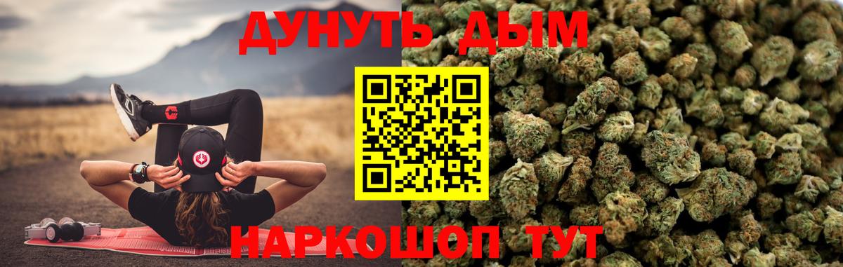 Бошки марихуана OG Kush Щёлково